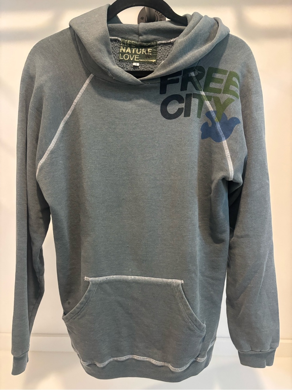 freecity Hooded Sweatshirt in Washed Teal